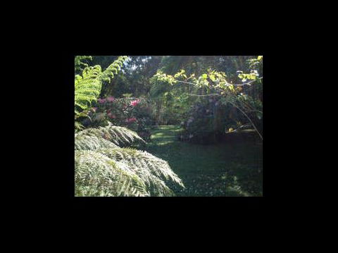 A Country House At Winstanley - Tweed Heads Accommodation 4