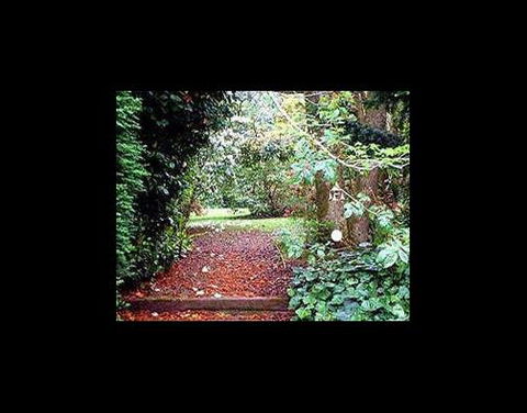 A Country House At Winstanley - Tweed Heads Accommodation 2