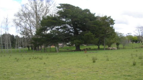 Auberge Woodend - Tweed Heads Accommodation 3