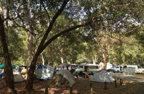 Adder Rock Camping Ground - Tweed Heads Accommodation 0