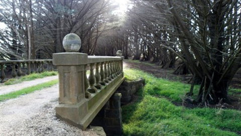 Moranghurk Vineyard & Accommodation - Tweed Heads Accommodation 2