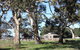 Moranghurk Vineyard & Accommodation - thumb 3