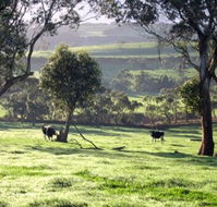 Bellevue Farmstay - Tweed Heads Accommodation