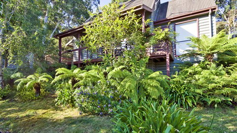 Great Ocean Road Cottages & Backpackers - Tweed Heads Accommodation 5