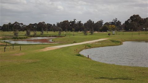 Mildura Golf Resort - Tweed Heads Accommodation 7