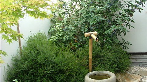 Shizuka Ryokan Japanese Country Spa & Wellness Retreat - Tweed Heads Accommodation 3