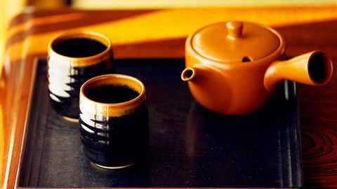 Shizuka Ryokan Japanese Country Spa & Wellness Retreat - Tweed Heads Accommodation 7