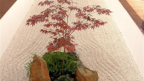 Shizuka Ryokan Japanese Country Spa & Wellness Retreat - Tweed Heads Accommodation 6