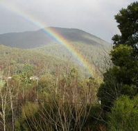 Wattletree Cottage - Tweed Heads Accommodation