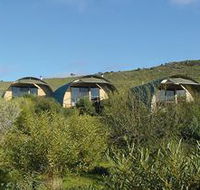 Saunders Gorge Sanctuary - Nature Lodges - Tweed Heads Accommodation