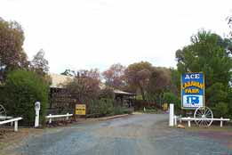 Ace Caravan Park - Tweed Heads Accommodation 0