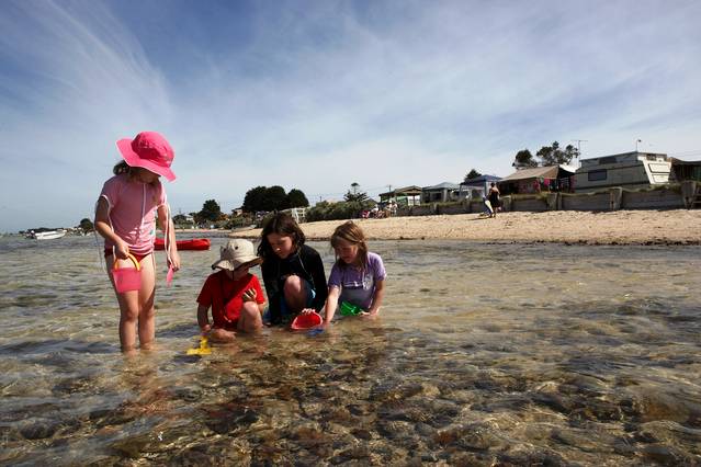 Indented Head VIC Tweed Heads Accommodation