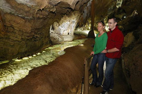 Buchan Caves Reserve - Tweed Heads Accommodation 2