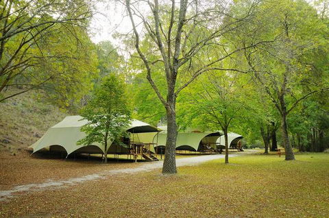 Buchan Caves Reserve - Tweed Heads Accommodation 0