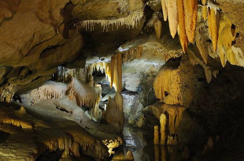 Buchan Caves Reserve - Tweed Heads Accommodation 4