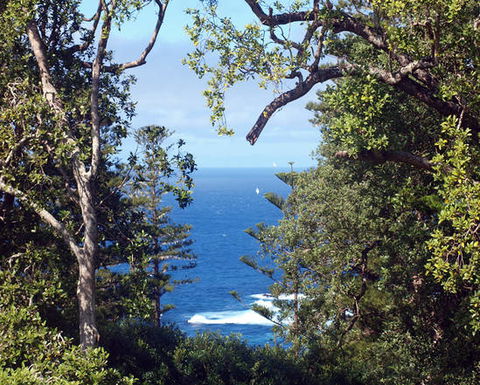 Bucks Point House - Tweed Heads Accommodation 3