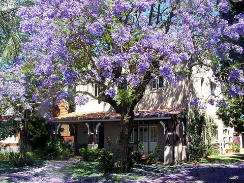 Callam Court - Tweed Heads Accommodation 0