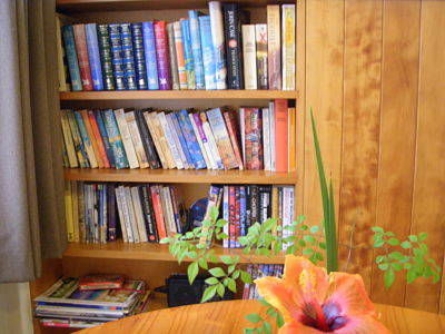 Channers On Norfolk - Tweed Heads Accommodation 4