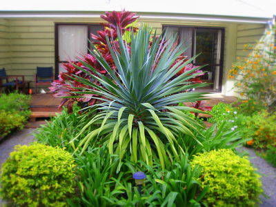 Channers On Norfolk - Tweed Heads Accommodation 5