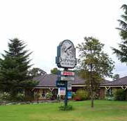 Bushmans Comfort Inn - Tweed Heads Accommodation
