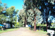 Cudal NSW Tweed Heads Accommodation