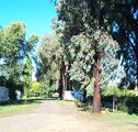 Cudal Caravan Park - Tweed Heads Accommodation