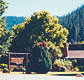 High Country Motor Inn - Tweed Heads Accommodation