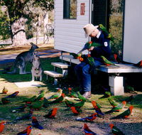 Inland Waters Holiday Parks Burrinjuck - Tweed Heads Accommodation