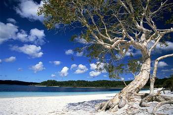 Mercure Kingfisher Bay Resort - Tweed Heads Accommodation 9