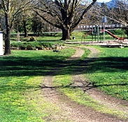 Mongans Bridge Camping Park - Tweed Heads Accommodation