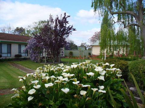 Mount Barker Valley Views Motel And Chalets - Tweed Heads Accommodation 1