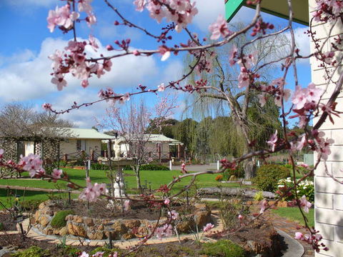 Mount Barker Valley Views Motel And Chalets - Tweed Heads Accommodation 3