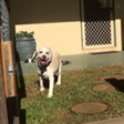 Neds Bed - Tweed Heads Accommodation 7