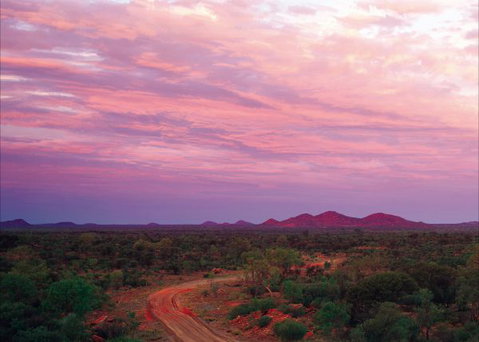 Bond Springs Outback Retreat - Tweed Heads Accommodation 3