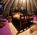 Aranyani Bison Adventure Tourist Park - Tweed Heads Accommodation