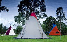 Aranyani Bison Adventure Tourist Park - Tweed Heads Accommodation 1