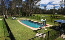 Aranyani Bison Adventure Tourist Park - Tweed Heads Accommodation 4