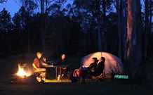 Aranyani Bison Adventure Tourist Park - Tweed Heads Accommodation 2