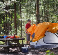 Bald Rock campground and picnic area - Tweed Heads Accommodation