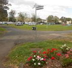 Berry Showground Camping - Tweed Heads Accommodation