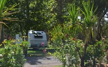 Darlington Point Riverside Caravan Park - Tweed Heads Accommodation 1