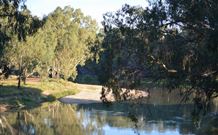 Darlington Point Riverside Caravan Park - Tweed Heads Accommodation 2