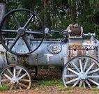 Dingo Tops campground - Tweed Heads Accommodation