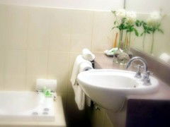 Saltbush Motor Inn - Tweed Heads Accommodation 5