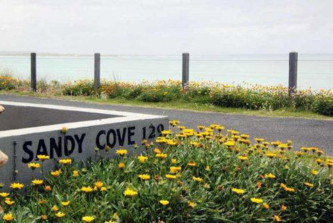 Sandy Cove - Tweed Heads Accommodation 4