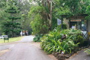 Tamborine Mountain Caravan & Camping - Tweed Heads Accommodation 0