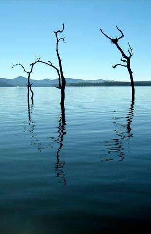 Tinaroo Lake Resort - Holiday Apartments - Tweed Heads Accommodation 11