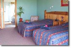 Trade Winds Country Cottages - Tweed Heads Accommodation 1
