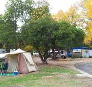 Wedderburn Pioneer Caravan Park - Tweed Heads Accommodation