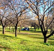 Wellington Caves Caravan Park - Tweed Heads Accommodation